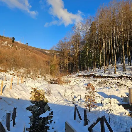 Apartamento H11 - Evergreen Tale