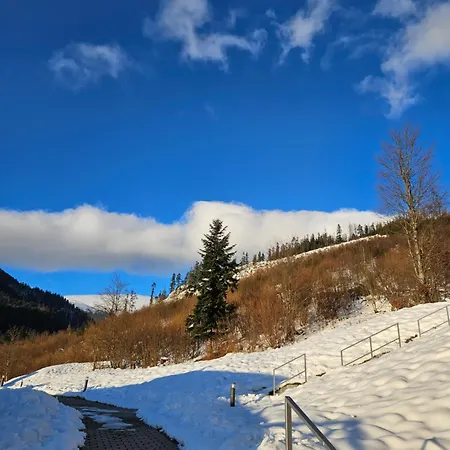 H11 - Evergreen Tale * Bystrá