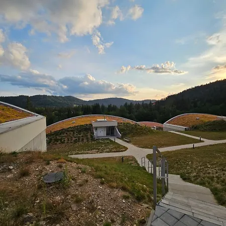 H11 - Evergreen Tale *