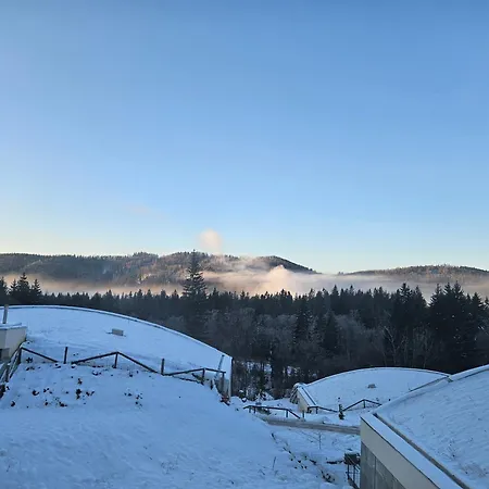 Apartamento H11 - Evergreen Tale